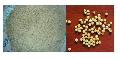  RICE   PELLETS  PROCESS MACHINE