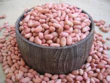 peanut kernels from China(GH-01)