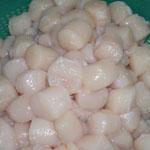  Sea   Scallops 