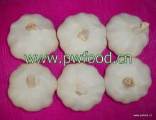 6cm Chinese Pure white garlic
