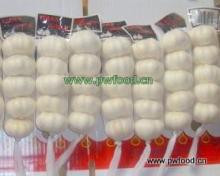  Chinese   pure   white   garli c-5pcs