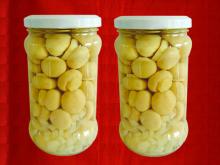 canned mushrooms