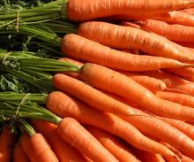 Carrot Diced