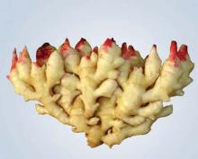 laiwu ginger
