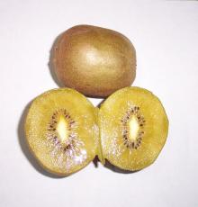 golden kiwi