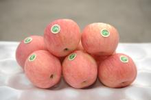 fuji apple