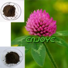 Red Clover Extract For Food Ingredient