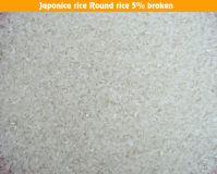 Round Rice,Japonica Rice 5% Broken