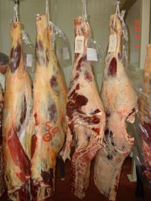 Beef Bone -In Carcass