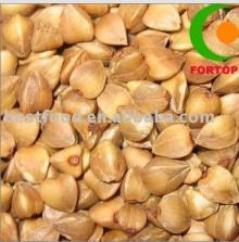 Roasted Buckwheat