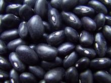 Small black kidney beans