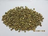  Vietnam   robusta   coffee  bean quotation