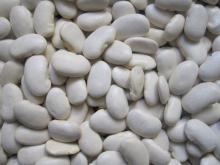 2012 crop Yunnan large white kidney  beans 