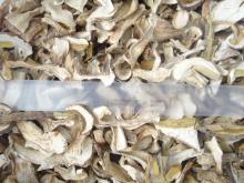 dried boletus edulis A grade