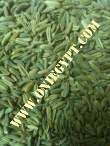 Fennel seeds