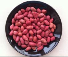  Red   skin   peanuts 