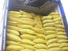  Corn  Gluten  Meal 