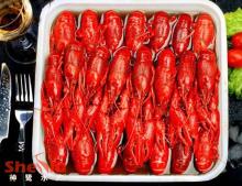 Cooked Crawfish in Dill Brine&Sauce