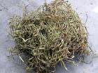 White Willow Bark Extract