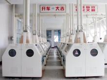 Goldrain wheat flour milling machine with price