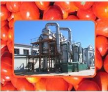 tomato paste production line