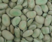 braod beans