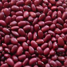 JAPAN RED KIDNEY BEANS