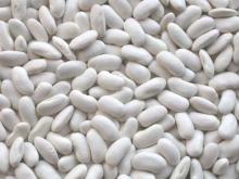  LONG   WHITE   KIDNEY   BEAN S