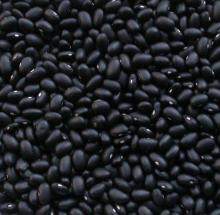  SMALL   BLACK   BEANS 