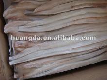  Frozen   conger   eel  fillet