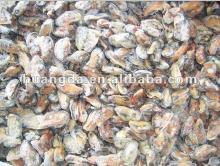 Frozen Mussel Meat