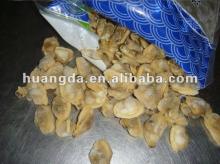 frozen short neck clam