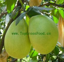 Honey Pomelo