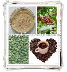 Green Coffee Bean Extract Powder (Chlorogenic Acid) Green Coffee Bean Extract Powder