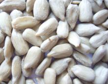 new crop  bakery   sunflower   kernel 