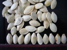shine skin pumpkin seeds