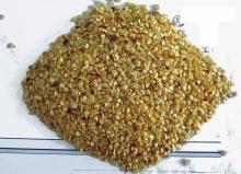 chili seeds