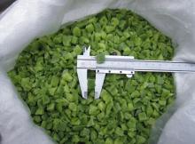 wholesale IQF frozen Green Pepper Dice