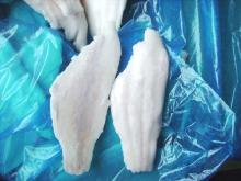 frozen channel catfish fillets