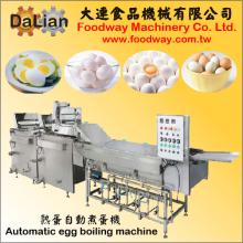 Egg Boiling Machine