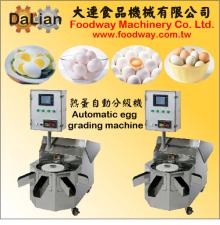 Automatic  Egg  Counting  Machine 
