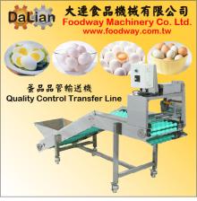 Egg Quality Contrel Line