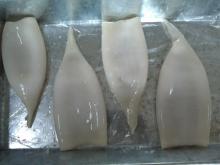 frozen squid tube (todarodes pacificus)