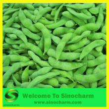 Frozen  Soybean
