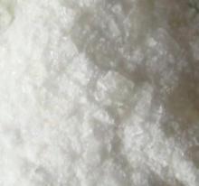 Andrographolide