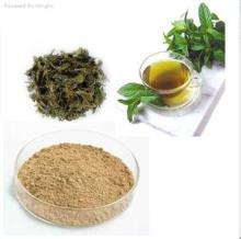 green tea extract