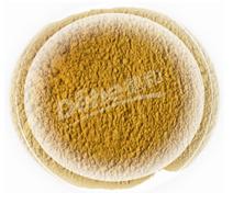 Oolong Tea Extract
