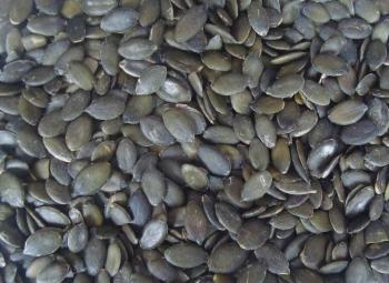 pumpkinseed kernels GWS grade A, AA, AAA