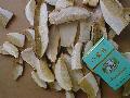 Sell IQF boletus edulis SLICE