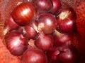 Red Onion